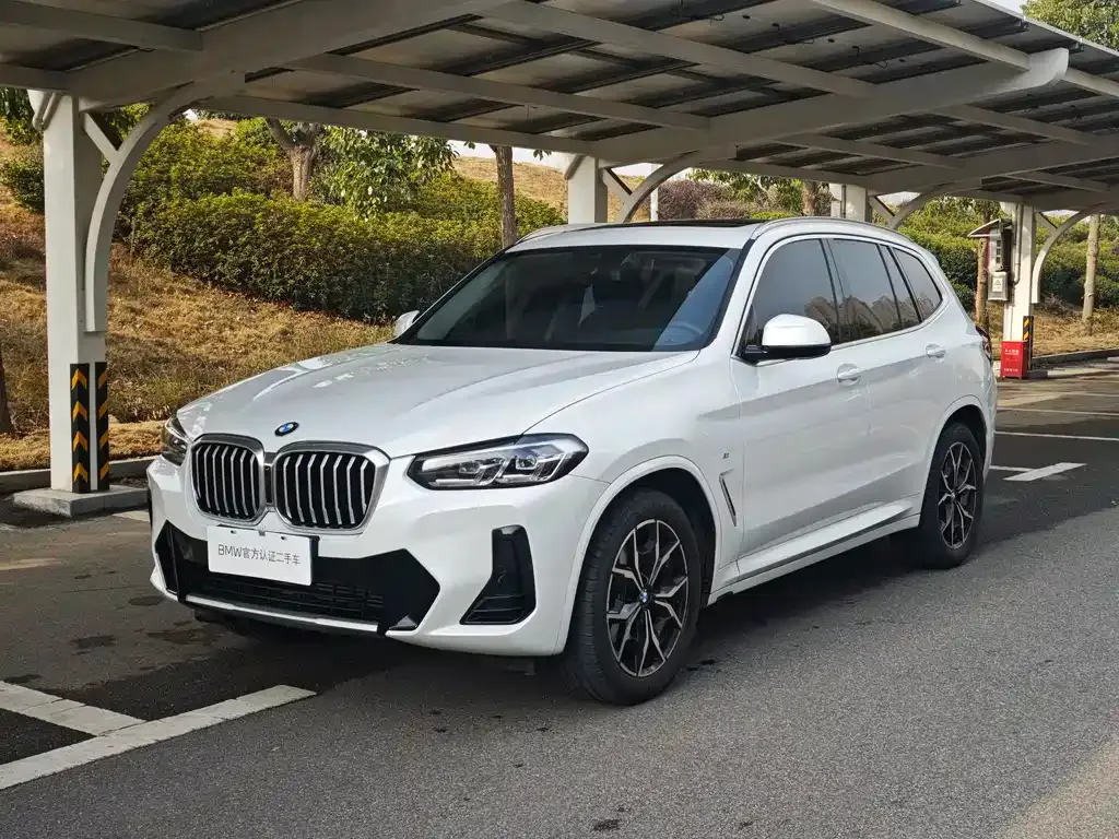 BMW X3 — фото 1