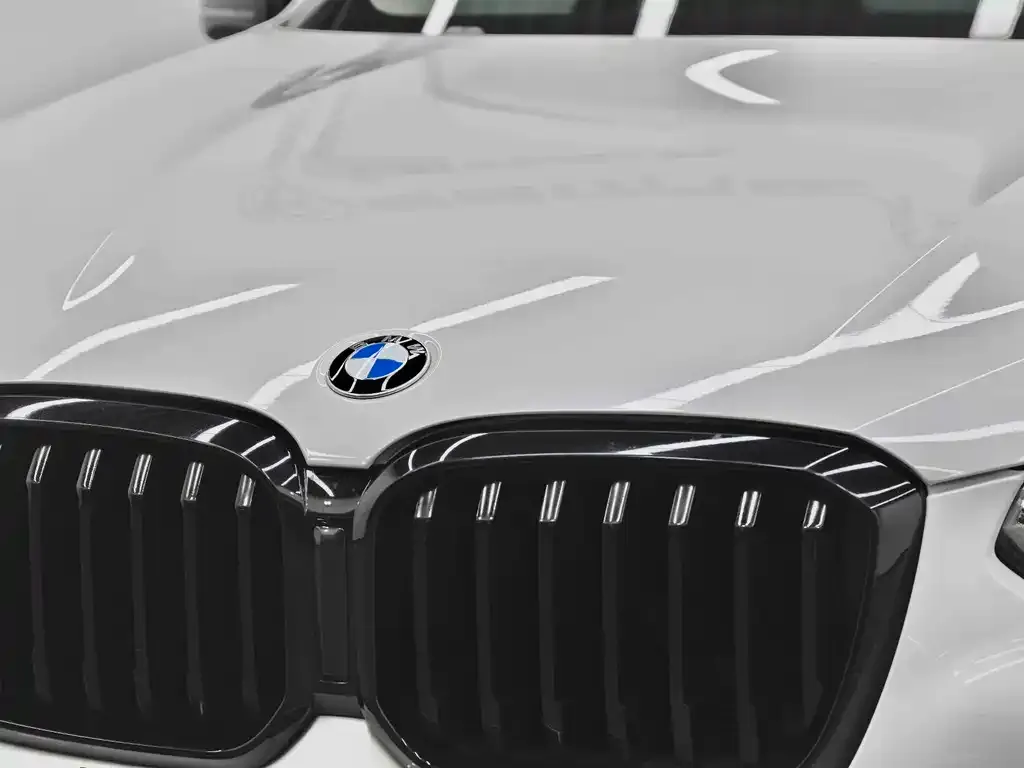 BMW X3 — фото 6