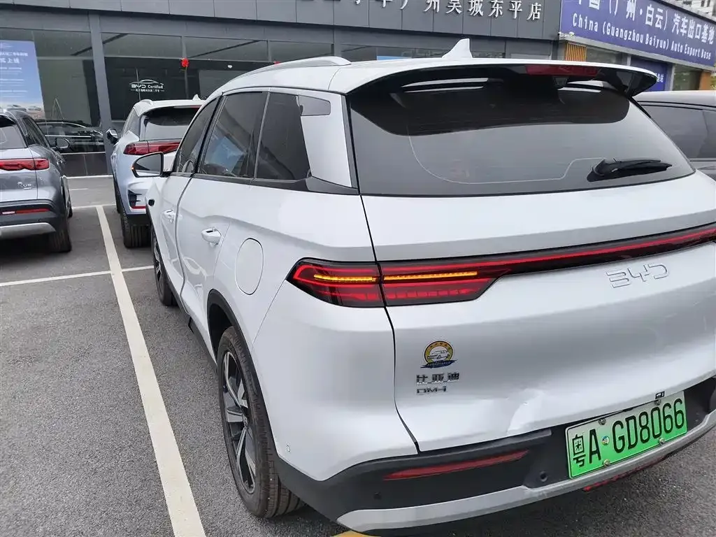 BYD Pro New Energy — фото 10