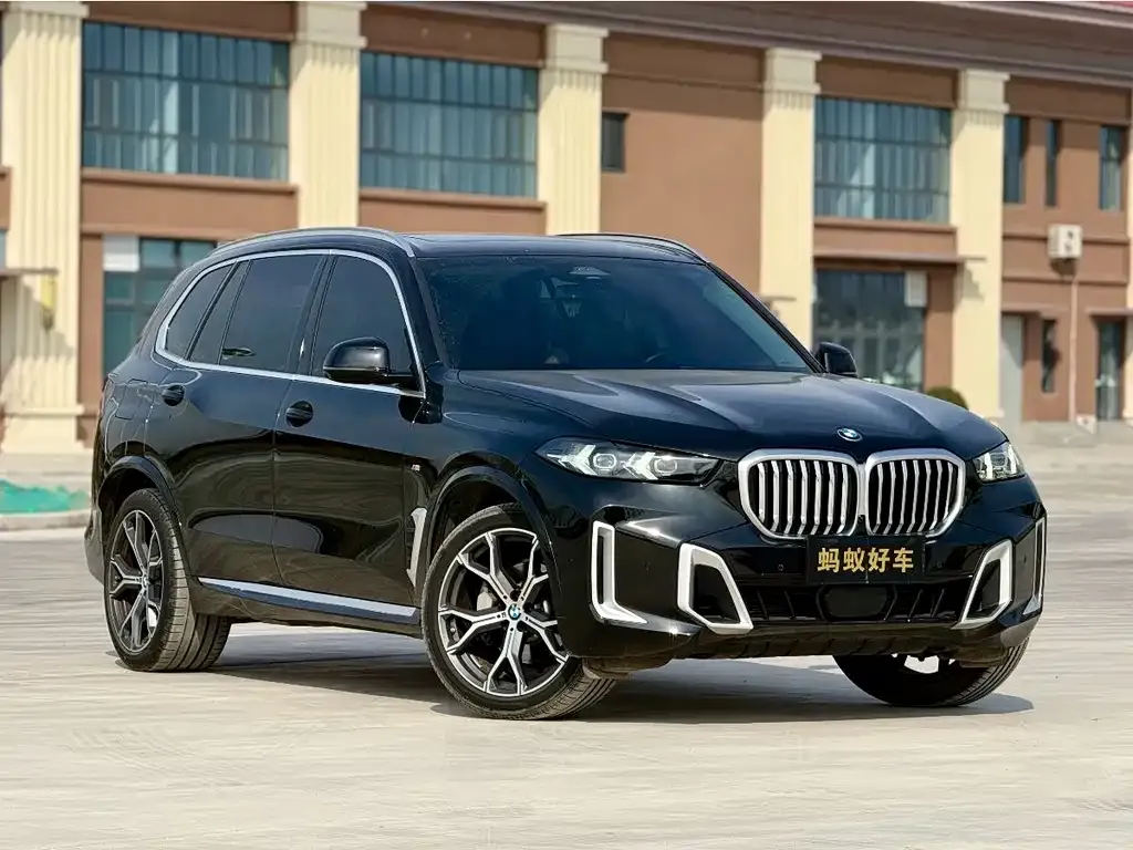 BMW X5 — фото 8