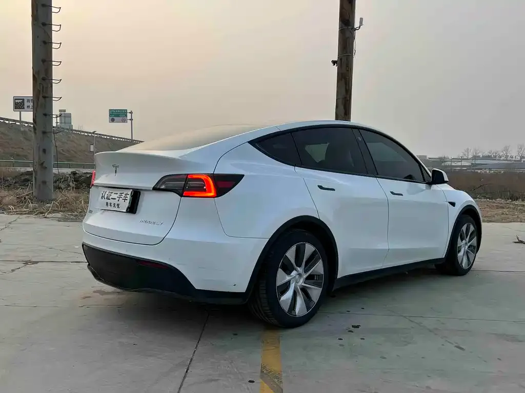 Tesla Model Y — фото 3