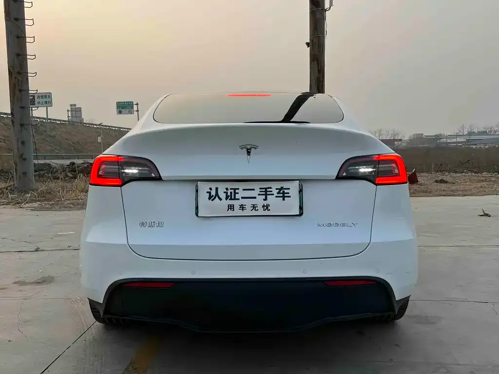Tesla Model Y — фото 9