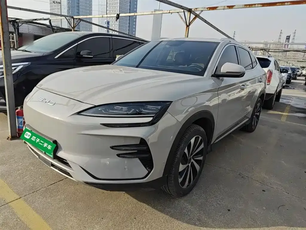 BYD PLUS New Energy — фото 1