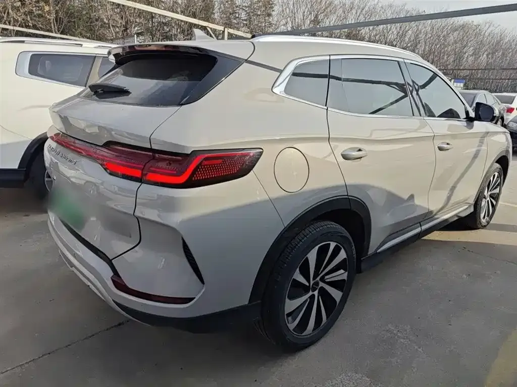 BYD PLUS New Energy — фото 8