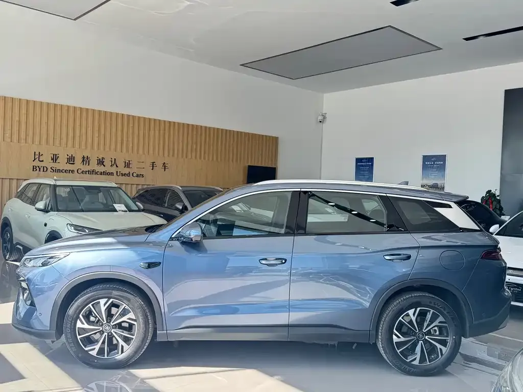 BYD Pro New Energy — фото 3