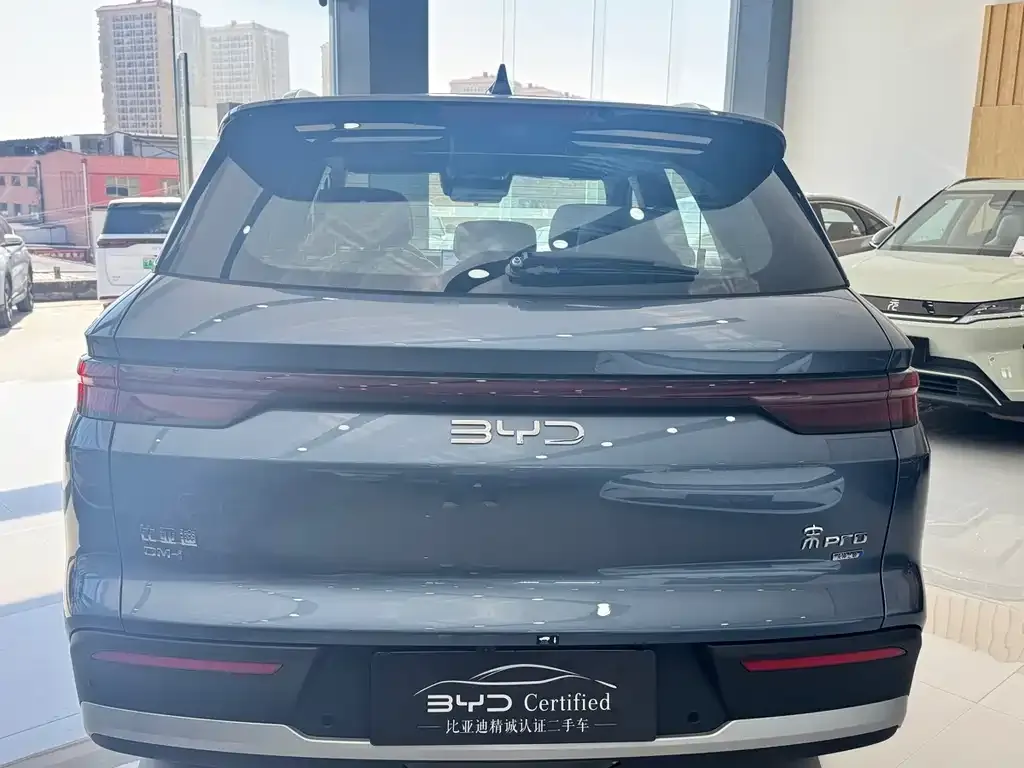 BYD Pro New Energy — фото 4