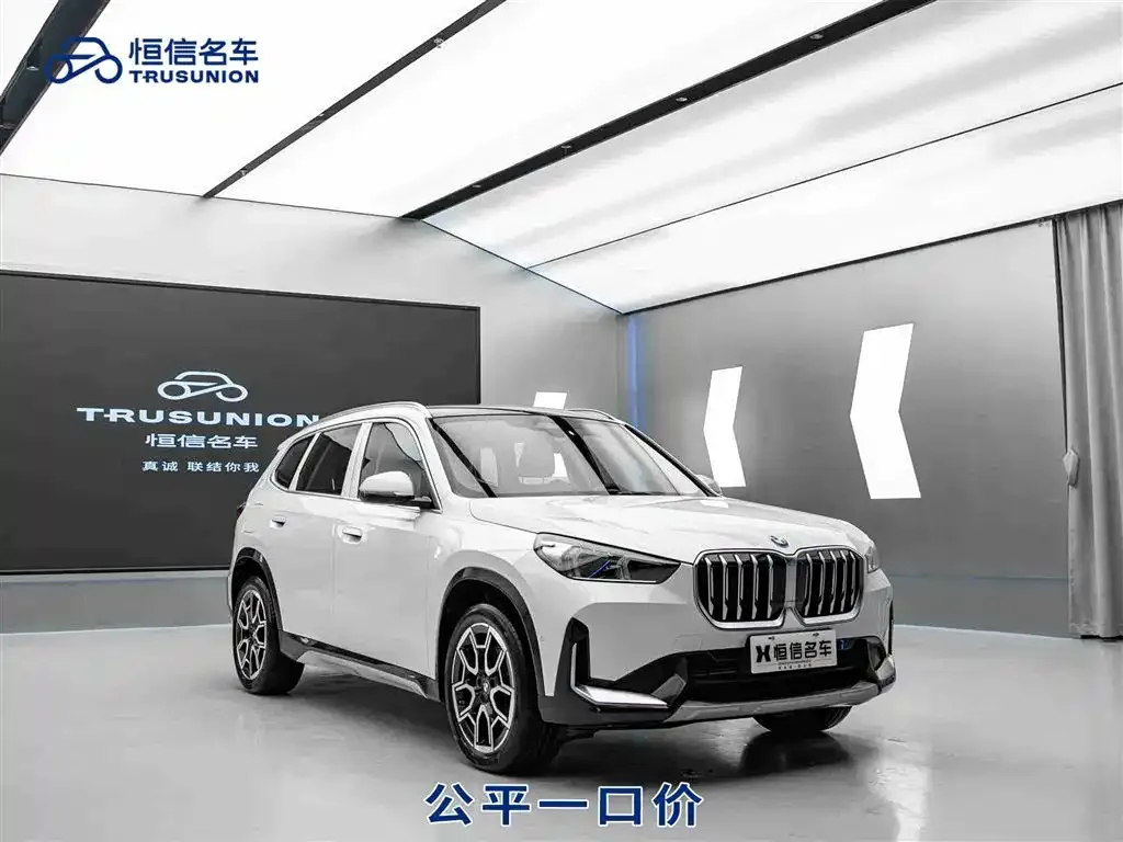 BMW X1 — фото 1