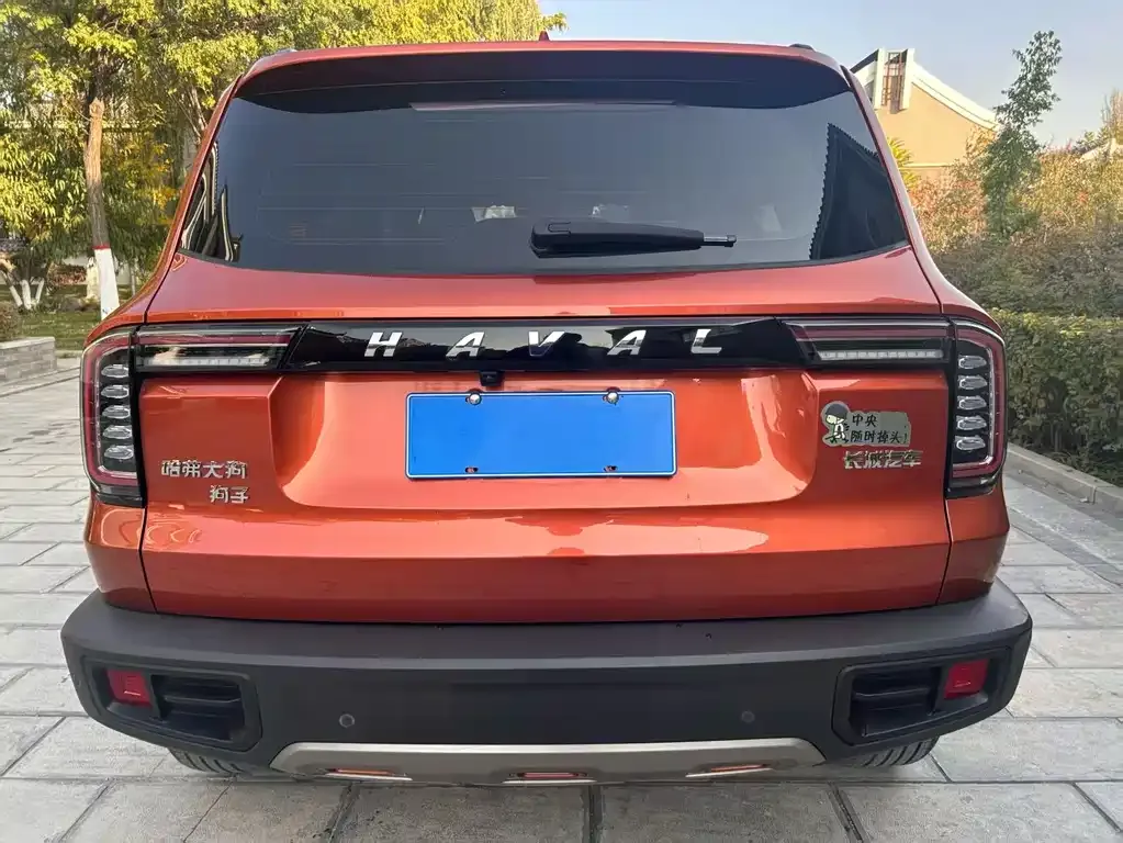 Haval Big Dog — фото 8