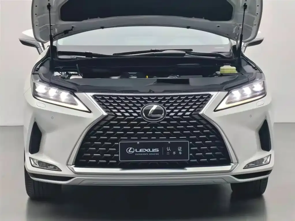 Lexus RX — фото 10