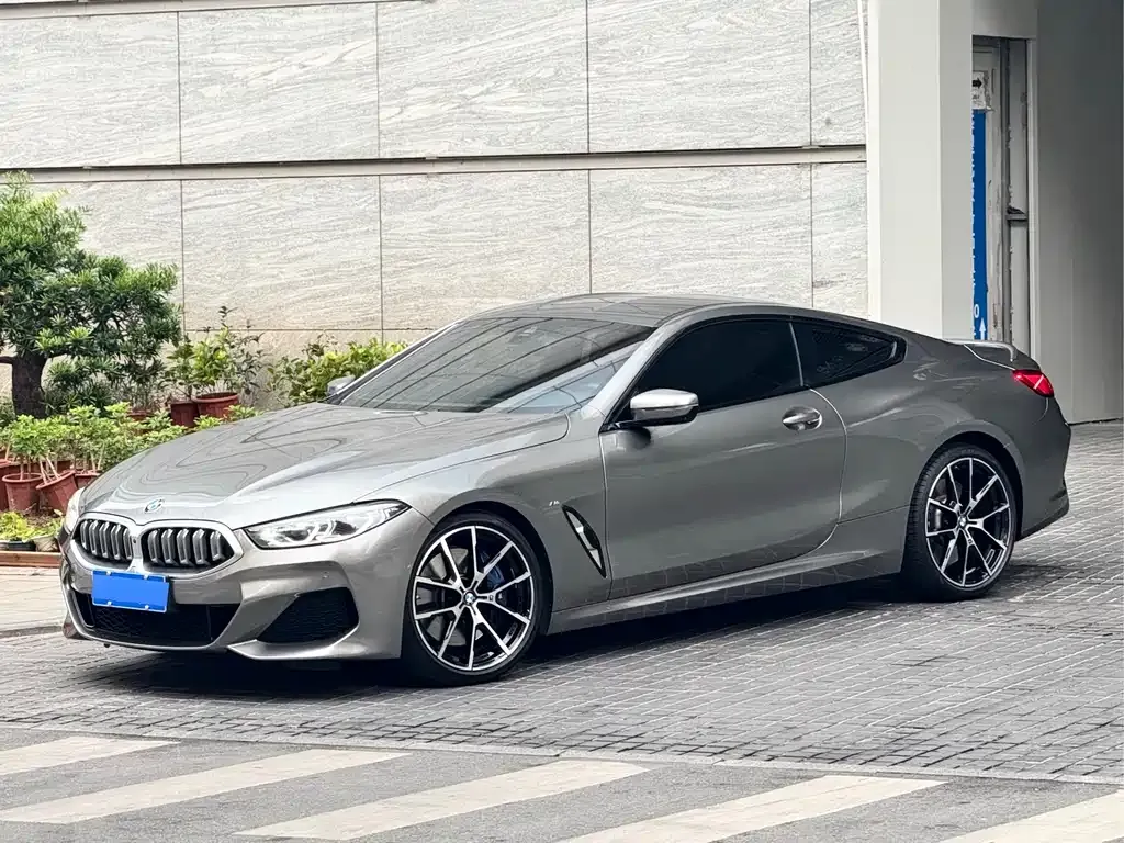 BMW 8 Series — фото 1