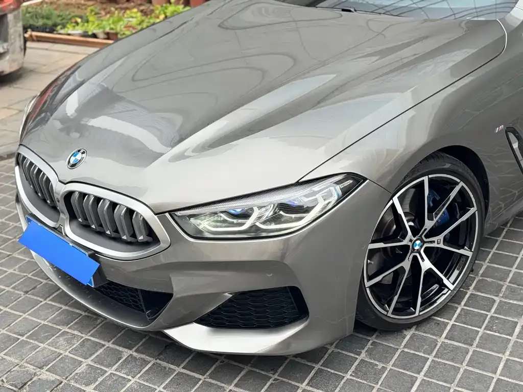BMW 8 Series — фото 8