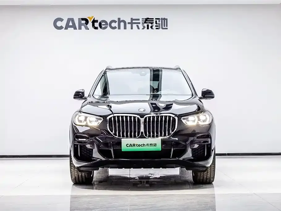 BMW X5 New Energy (Import) — фото 4