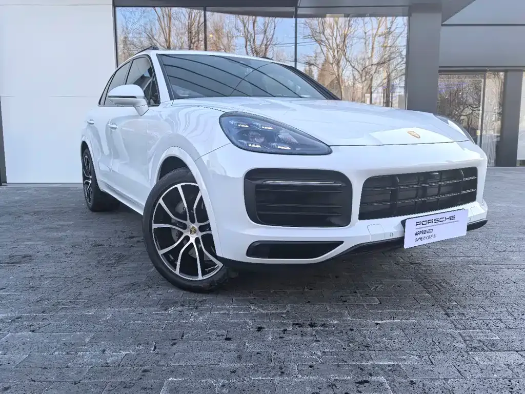 Porsche Cayenne — фото 10