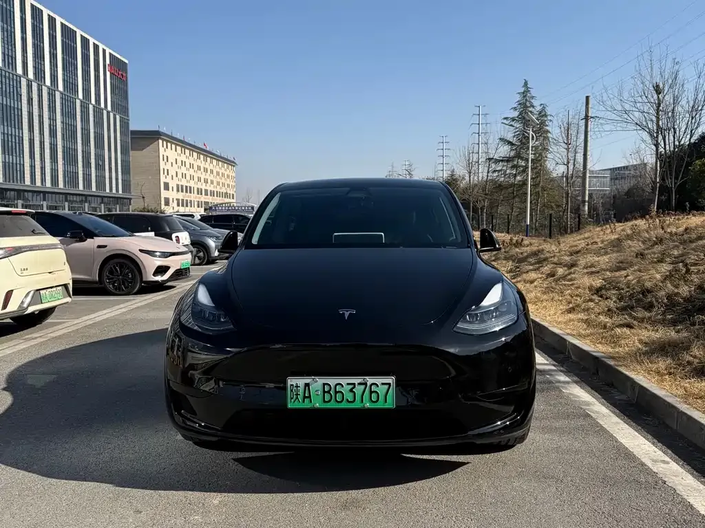Tesla Model Y — фото 1