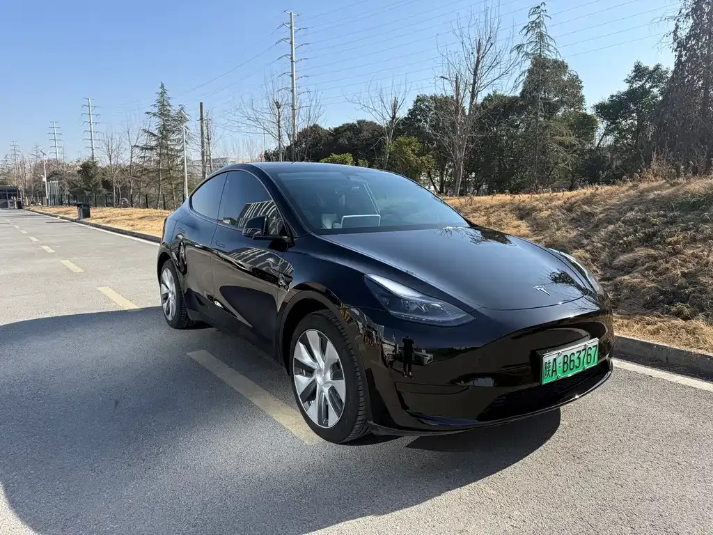 Tesla Model Y — фото 4