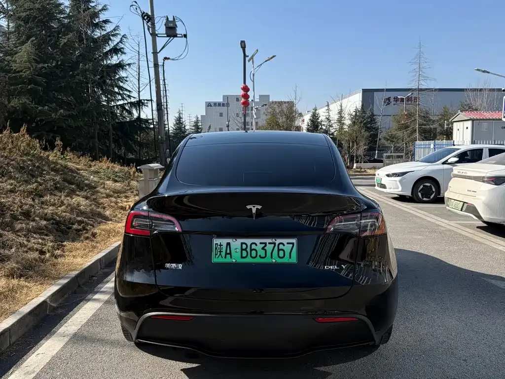 Tesla Model Y — фото 3