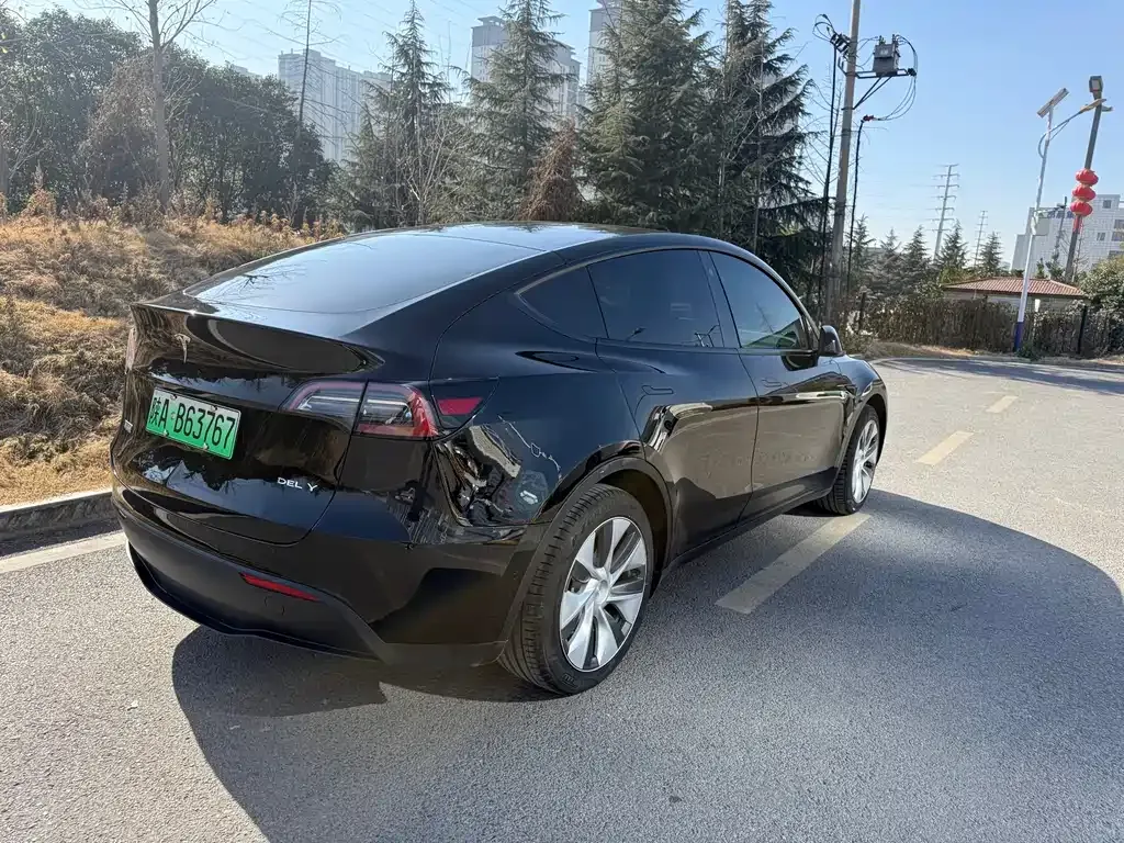 Tesla Model Y — фото 6