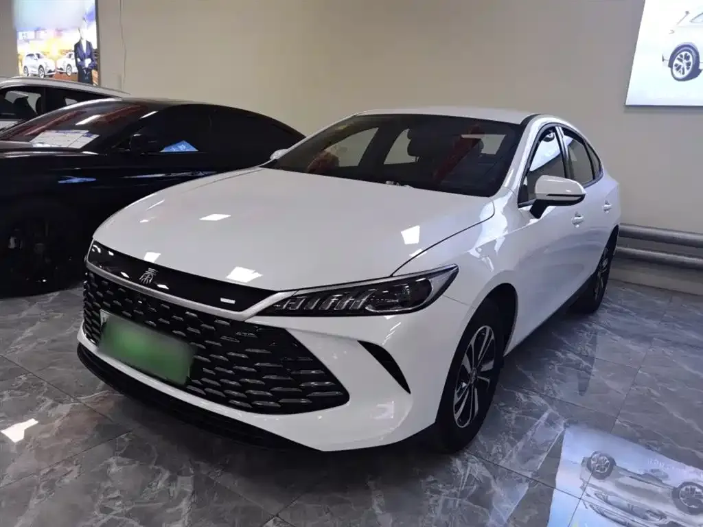 BYD Qin PLUS — фото 1