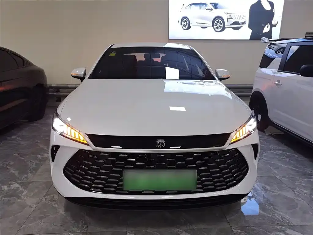 BYD Qin PLUS — фото 10