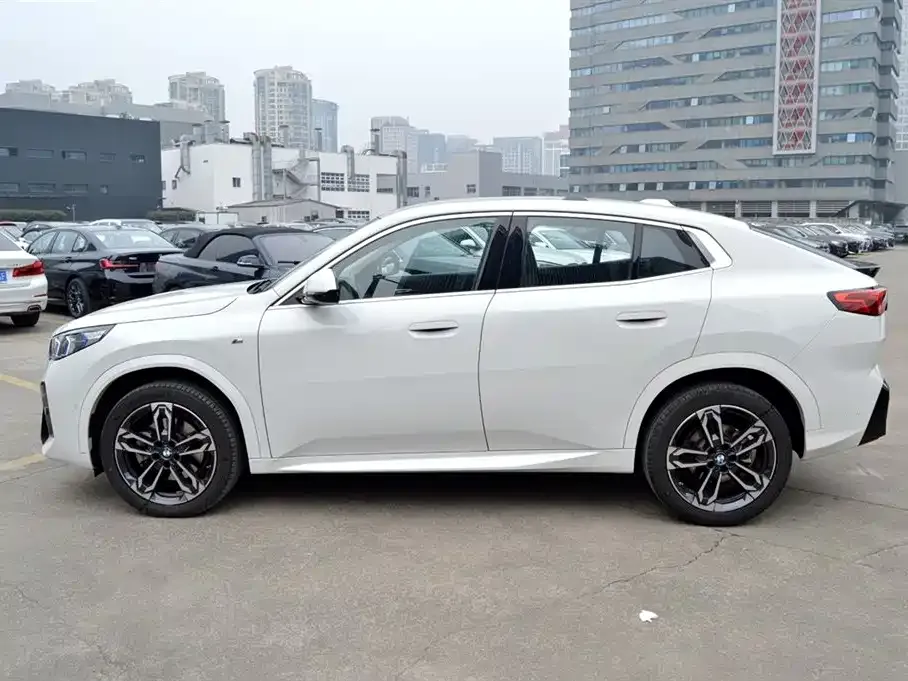 BMW X2 (Import) — фото 10