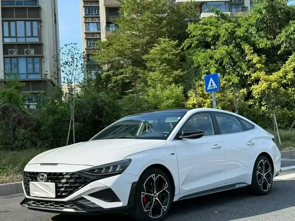 Hyundai Fista — фото 1