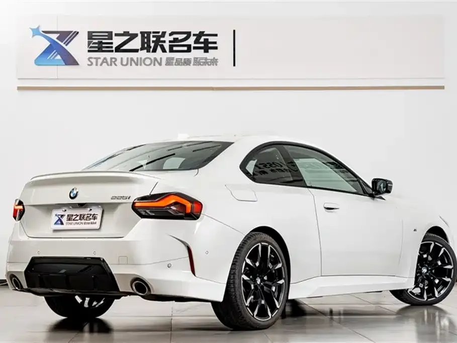 BMW 2 Series (Import) — фото 10