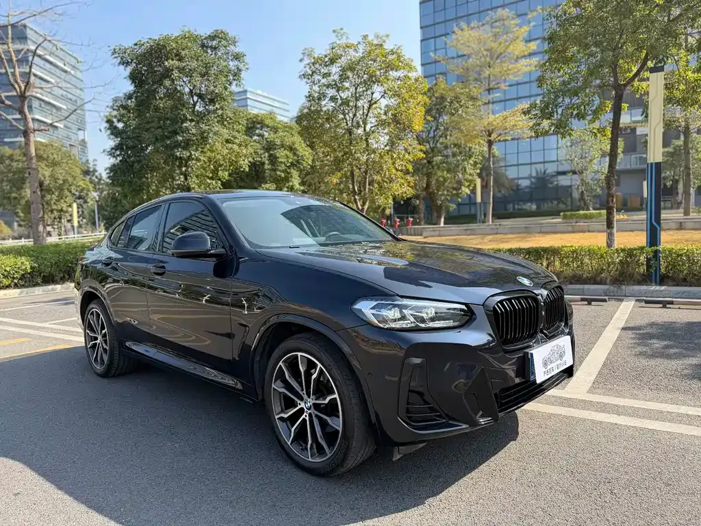 BMW X4 — фото 9