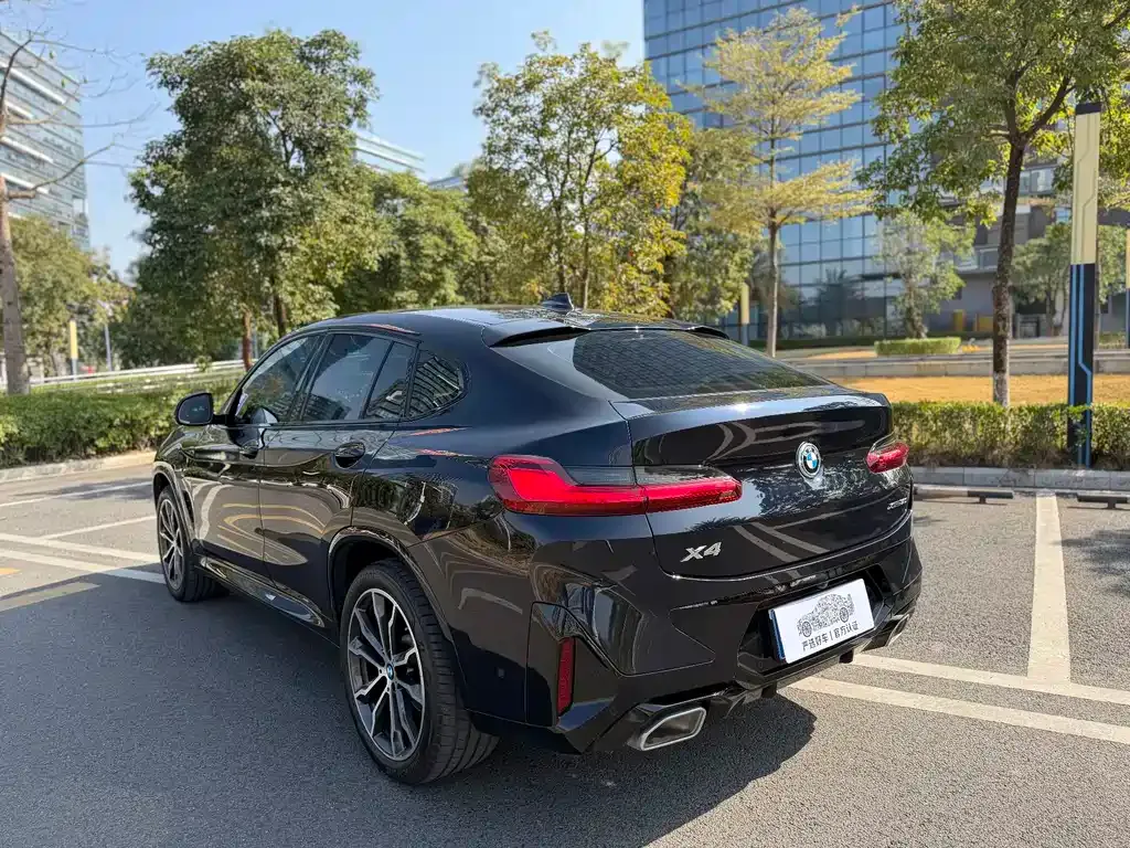 BMW X4 — фото 10