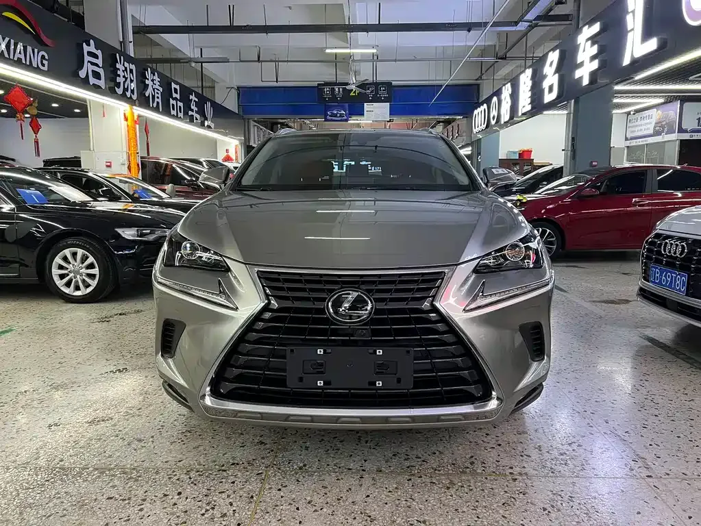 Lexus NX — фото 10