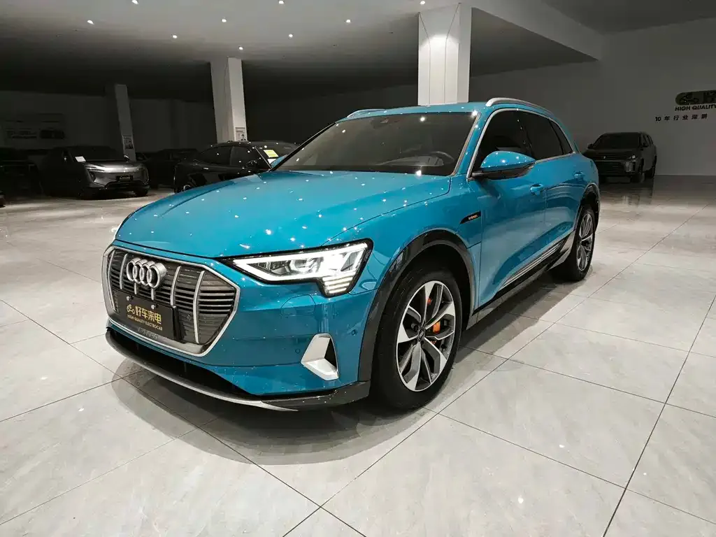 Audi e-tron (Import) — фото 5