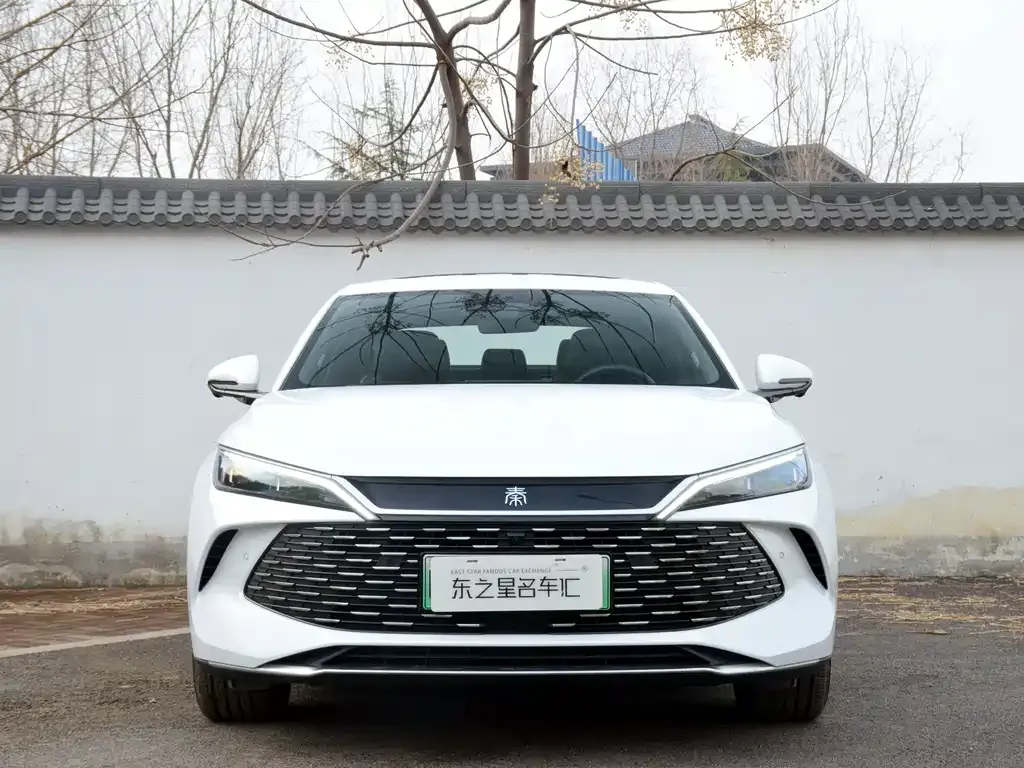 BYD Qin L — фото 3