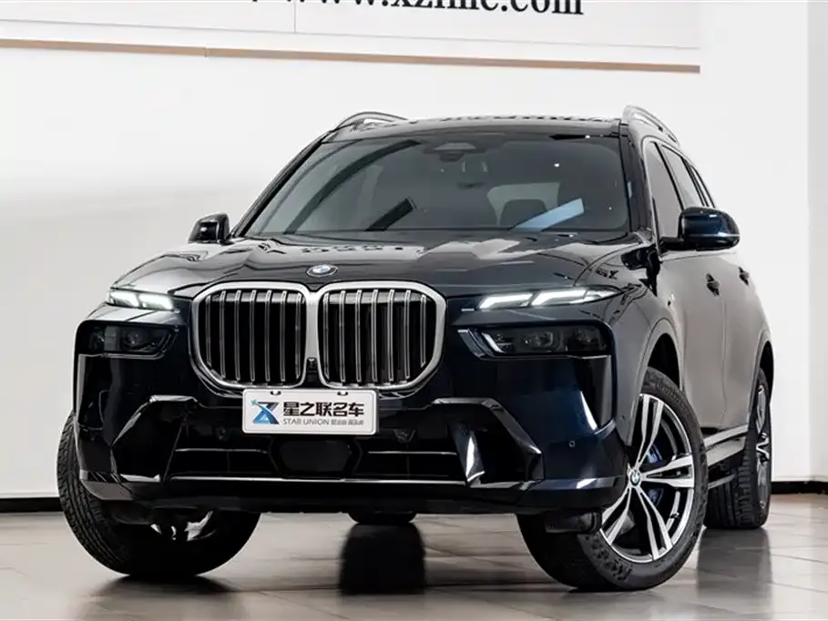 BMW X7 — фото 6