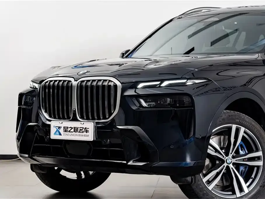 BMW X7 — фото 10