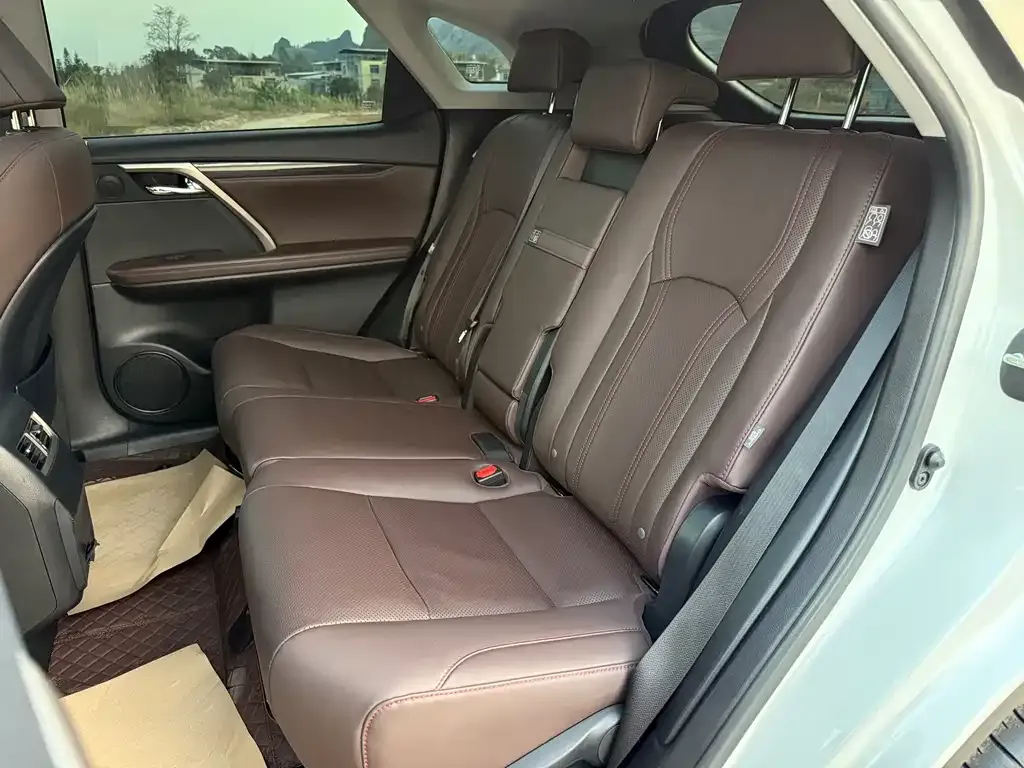 Lexus RX — фото 10