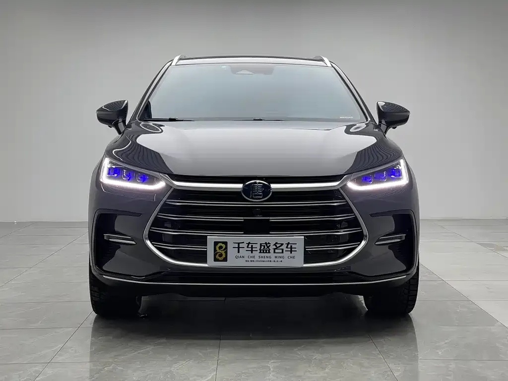 BYD Tang New Energy — фото 2