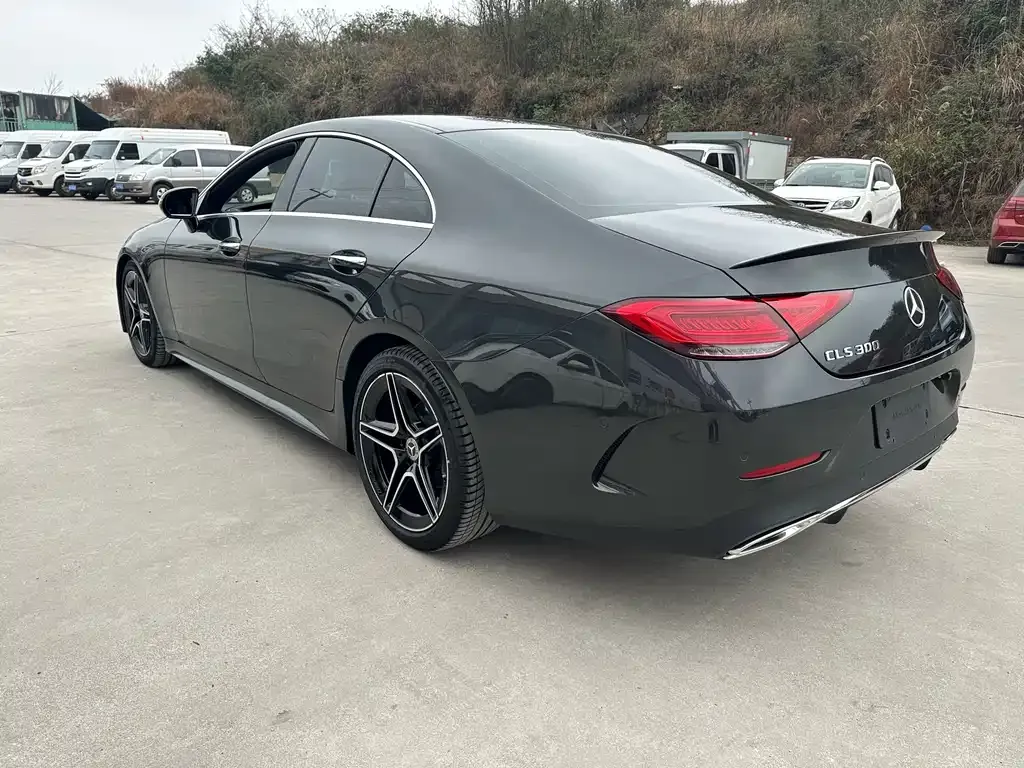 Mercedes-Benz CLS — фото 5