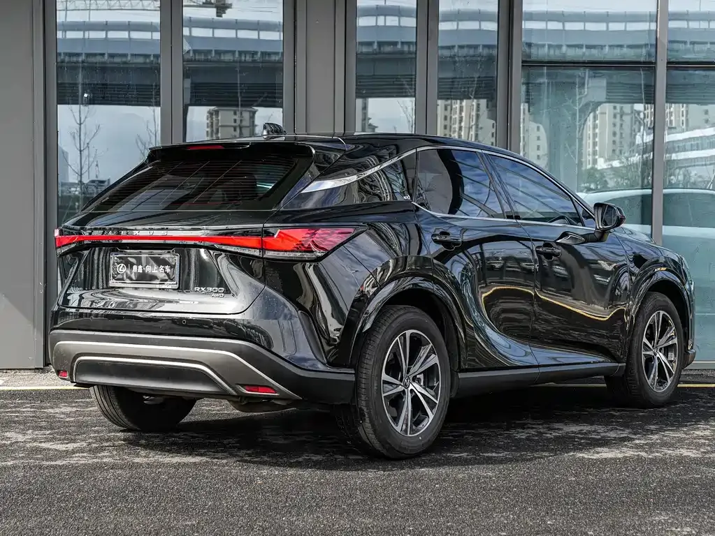 Lexus RX — фото 10