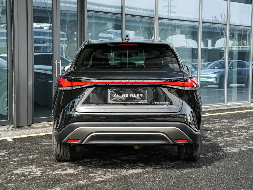 Lexus RX — фото 5