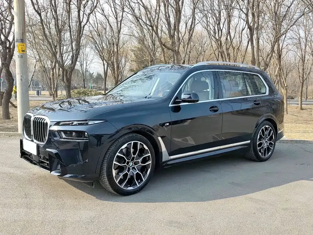 BMW X7 — фото 1