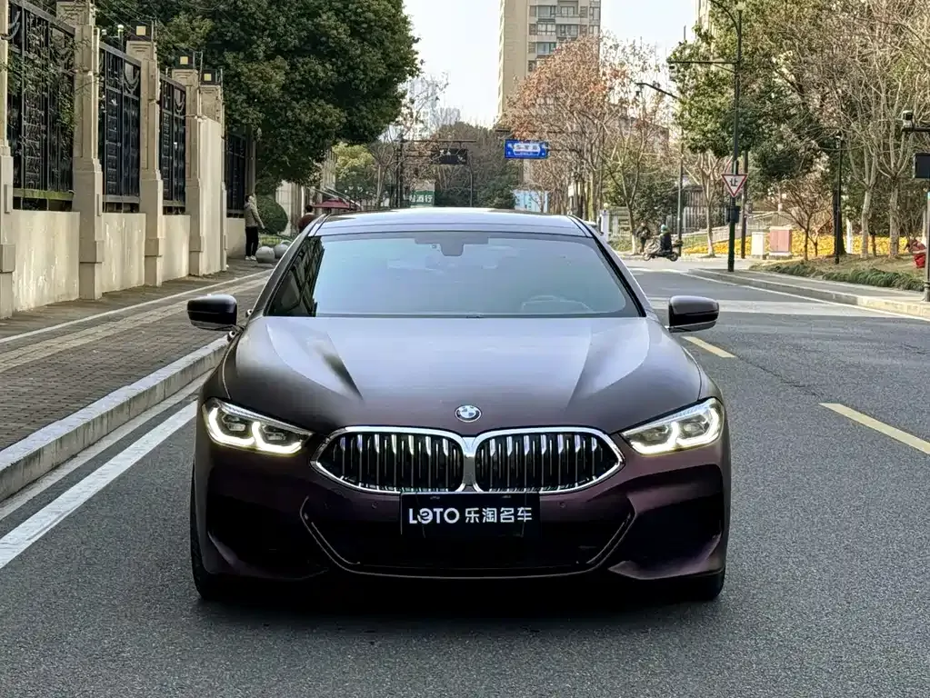 BMW 8 Series — фото 3