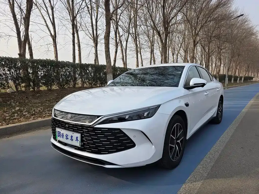 BYD Qin L — фото 1