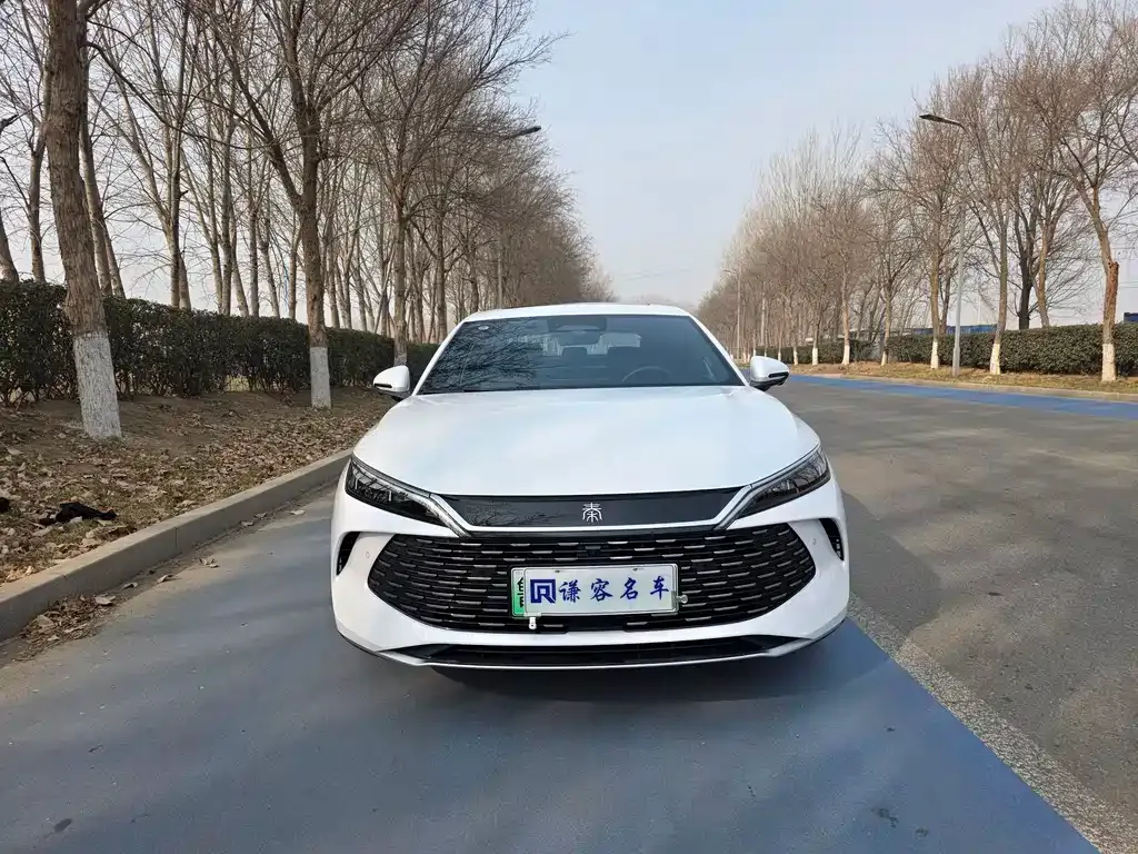 BYD Qin L — фото 4