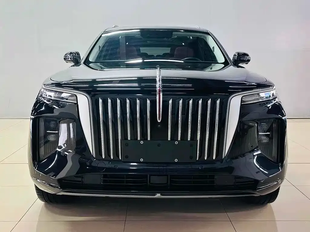 Hongqi E-HS9 — фото 10