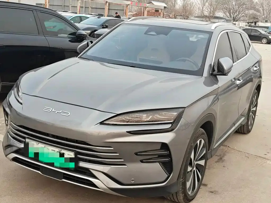 BYD PLUS New Energy — фото 1