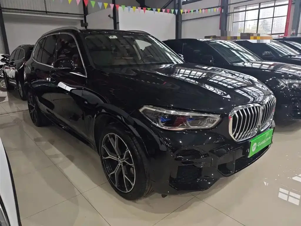 BMW X5 (Import) — фото 6