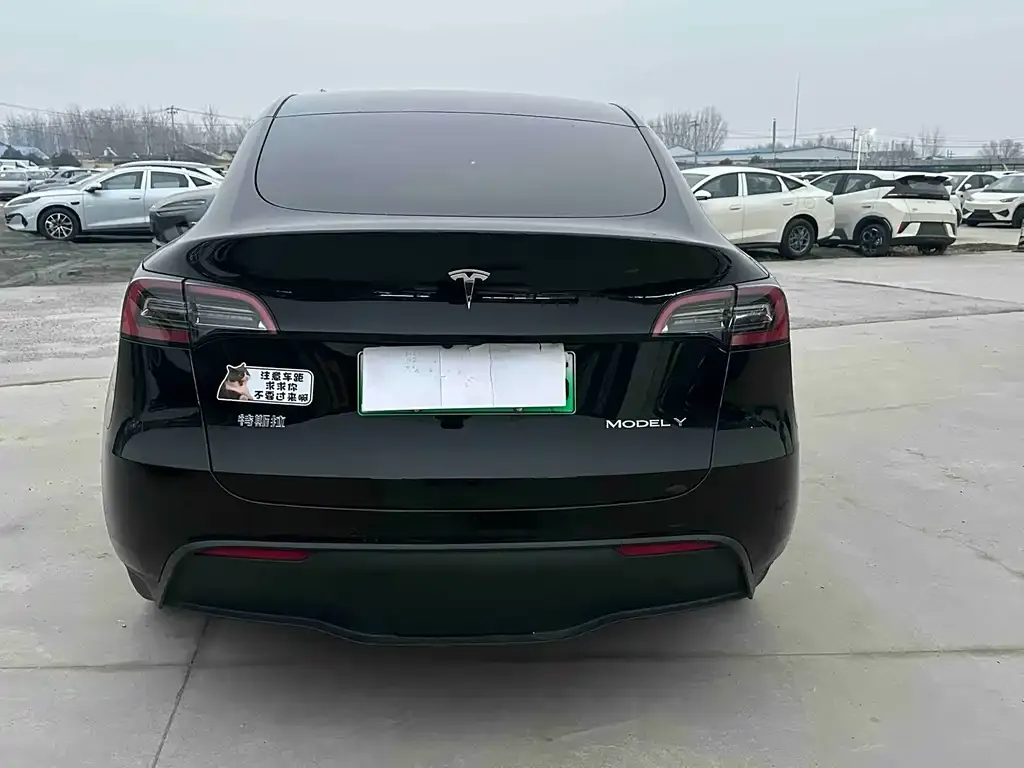 Tesla Model Y — фото 4
