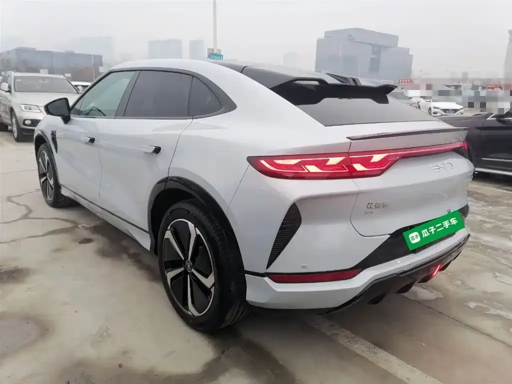 BYD L EV — фото 10