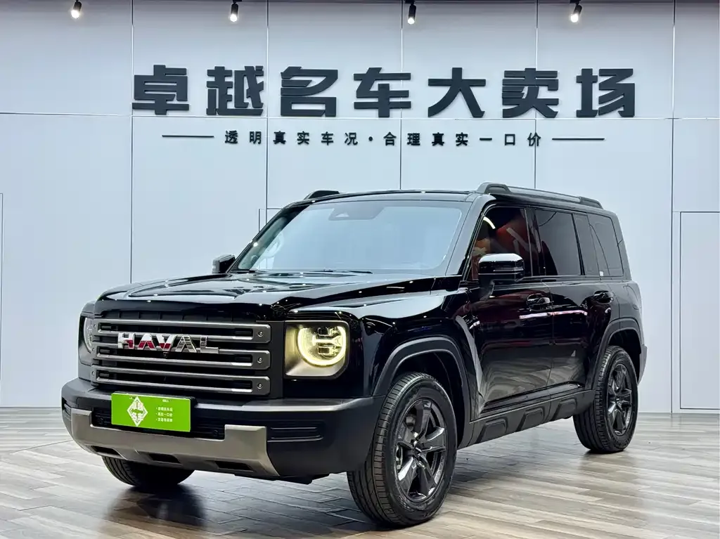 Haval Menglong New Energy — фото 1