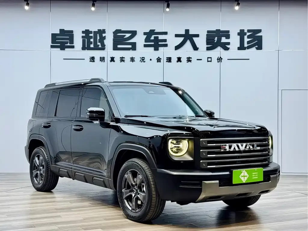 Haval Menglong New Energy — фото 7