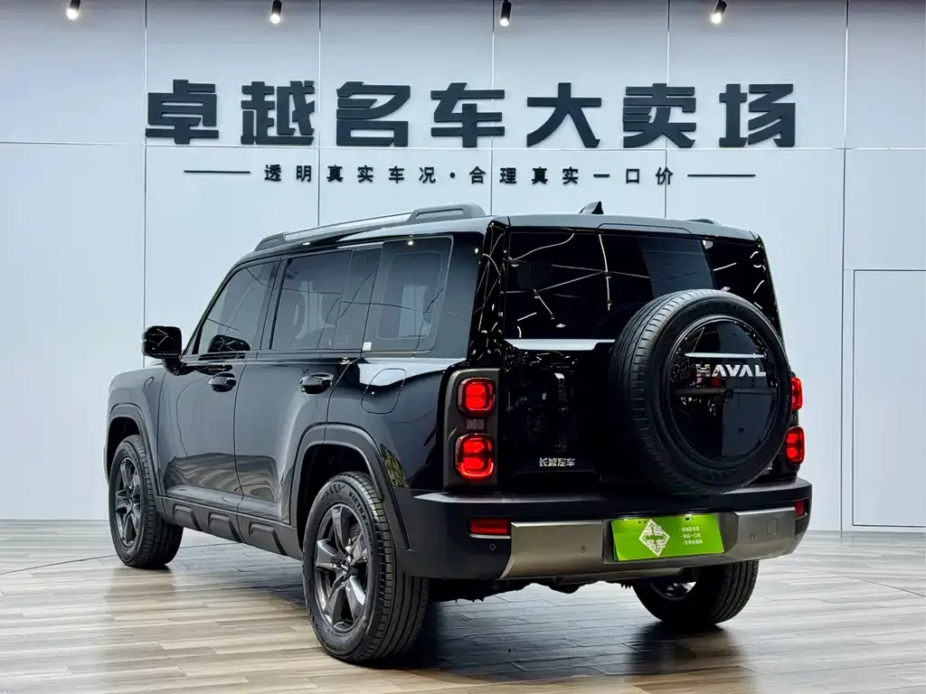 Haval Menglong New Energy — фото 6